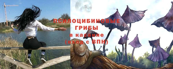 прущие крисы Магас
