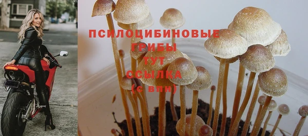 прущие крисы Магас