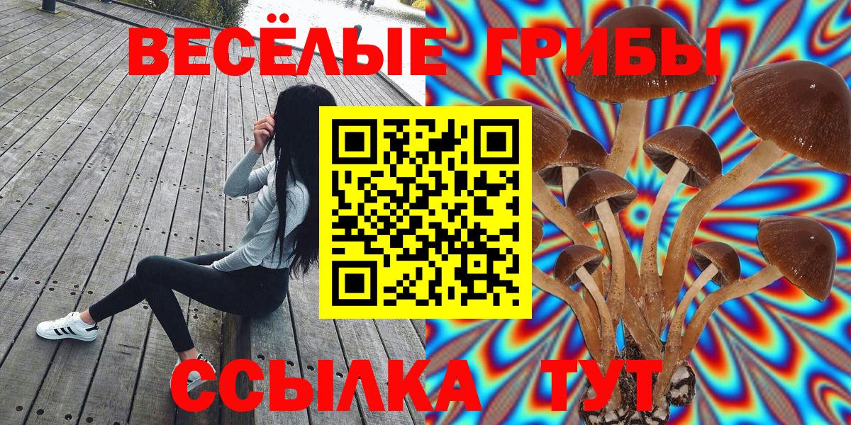 Галлюциногенные грибы MAGIC MUSHROOMS Тверь