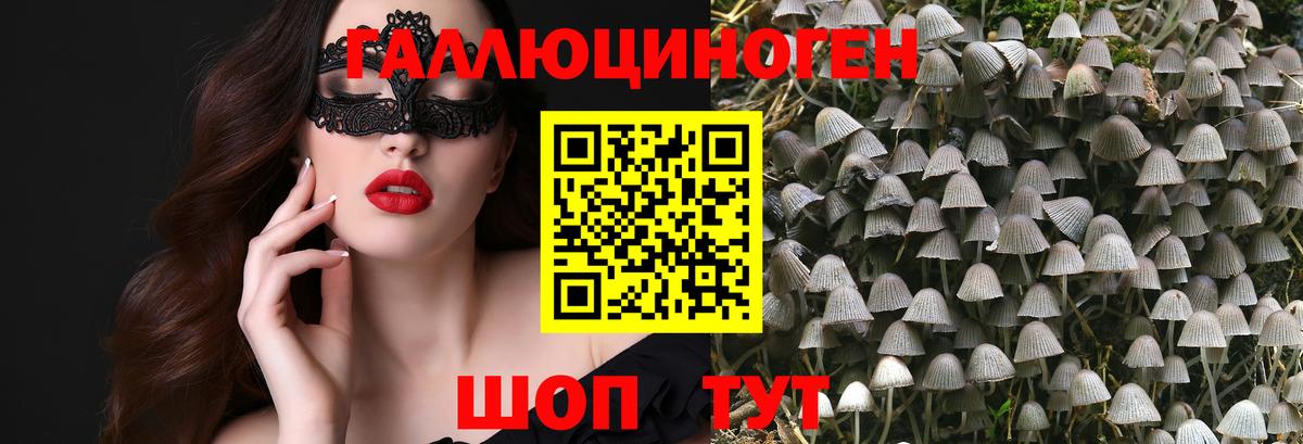 Псилоцибиновые грибы мицелий  Тверь 