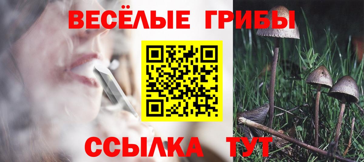 Тверь  Галлюциногенные грибы мухоморы  Вход с VPN 